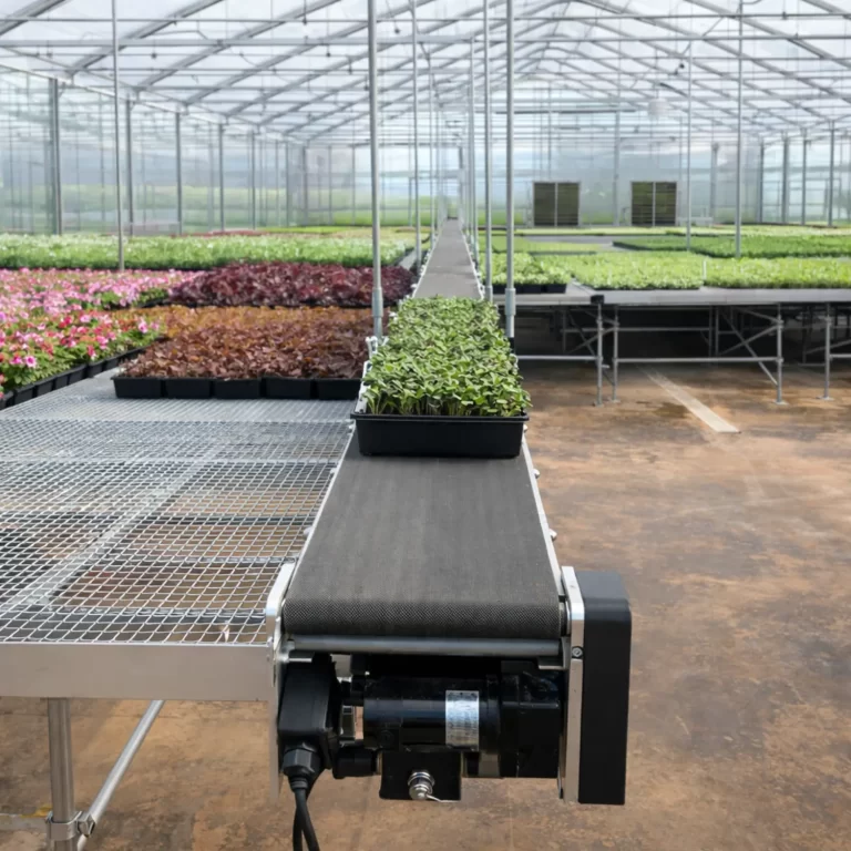 Industrial greenhouse conveyor system for transporting plant trays